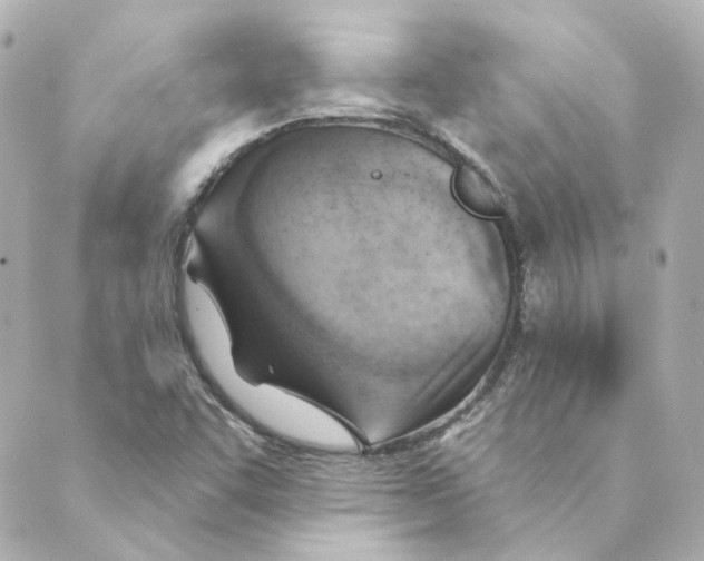 X0000088611455200706221419