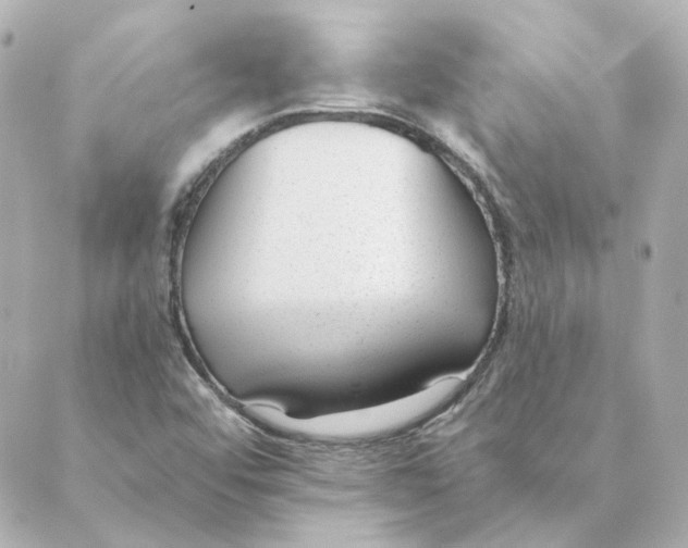 X0000088611456200706221419