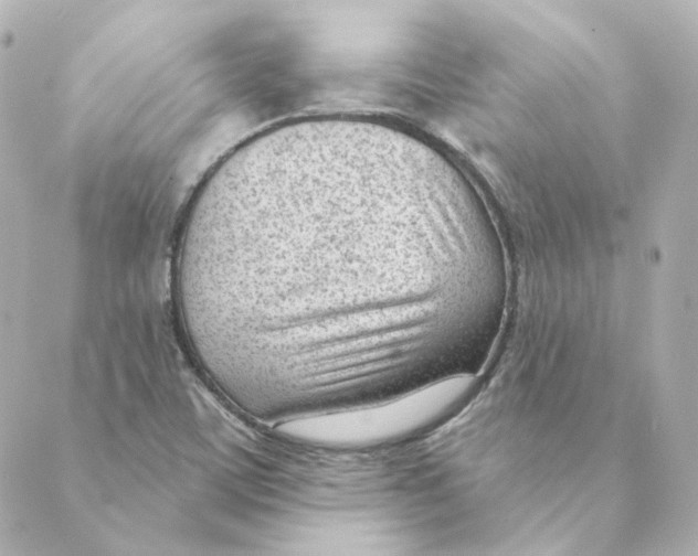 X0000088611459200706221418