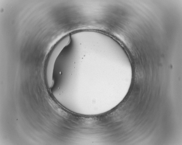 X0000088611460200706221418