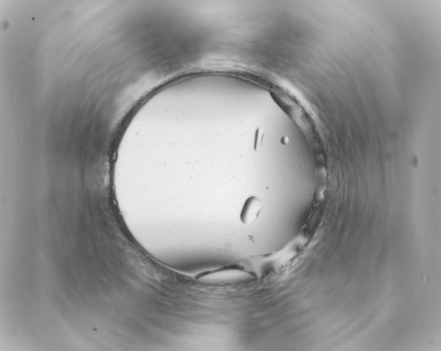 X0000088611461200706221418