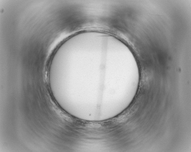 X0000088611462200706221418