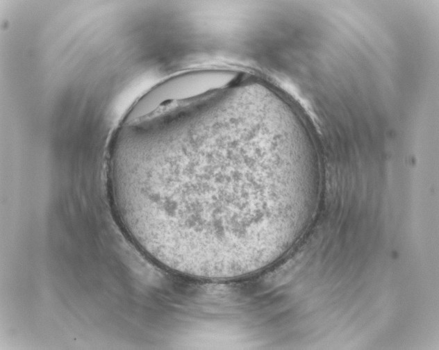 X0000088611463200706221418