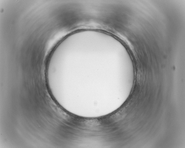 X0000088611464200706221418