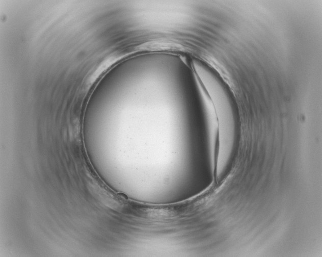 X0000088611465200706221418