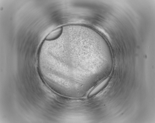 X0000088611467200706221418