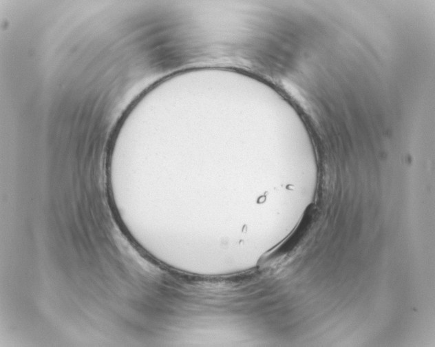 X0000088611468200706221418