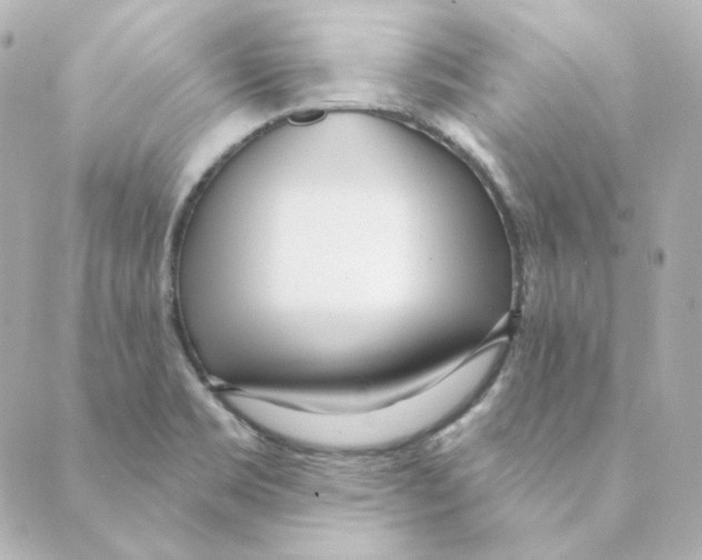 X0000088611469200706221418