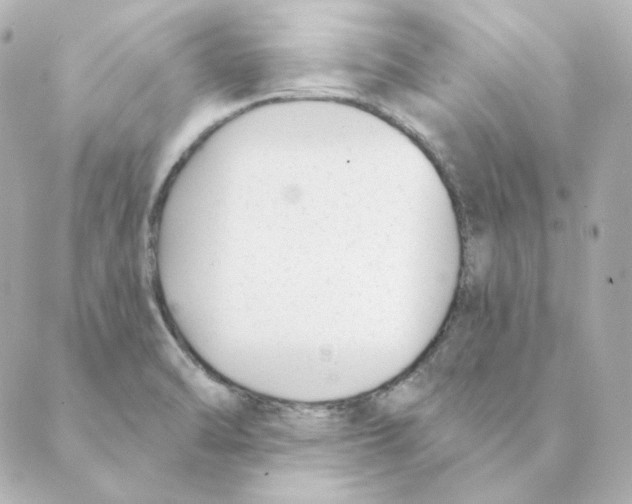 X0000088611470200706221418