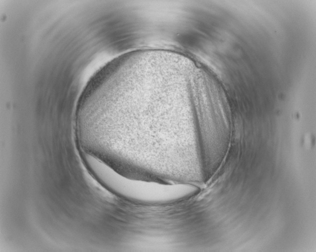 X0000088611471200706221418