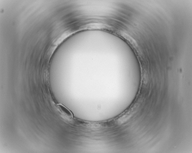 X0000088611473200706221418