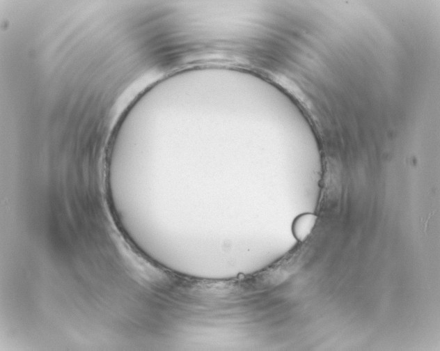 X0000088611474200706221418