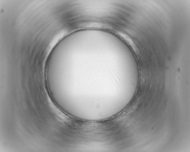 X0000088611475200706221418