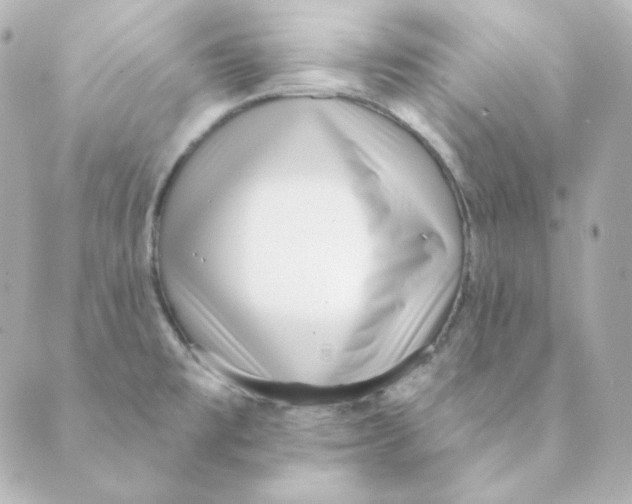 X0000088611477200706221418