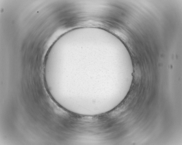 X0000088611478200706221418