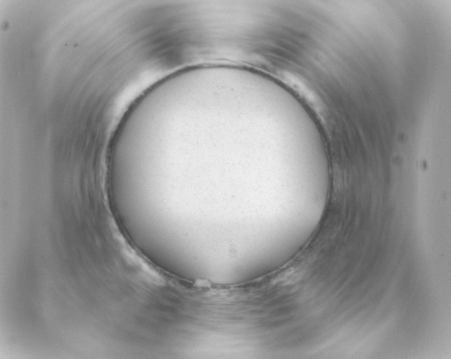 X0000088611480200706221418