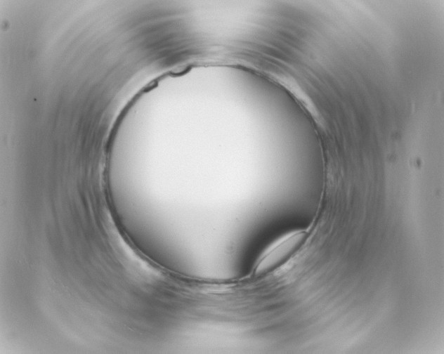 X0000088611484200706221418