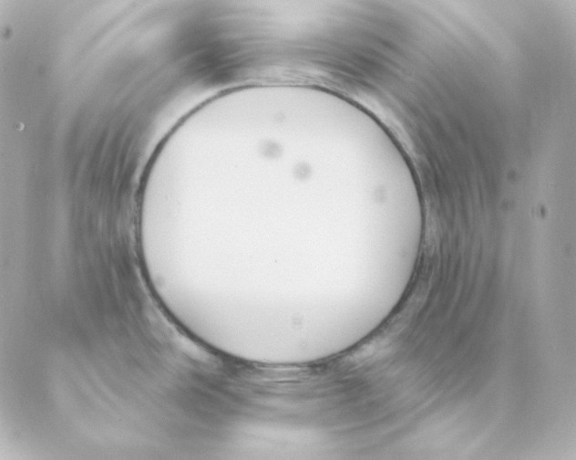 X0000088611486200706221418