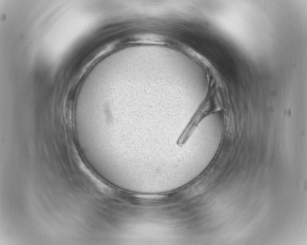 X0000088611487200706221418