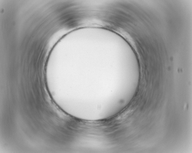 X0000088611488200706221418