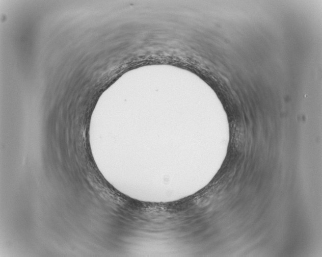 X0000088611489200706221417