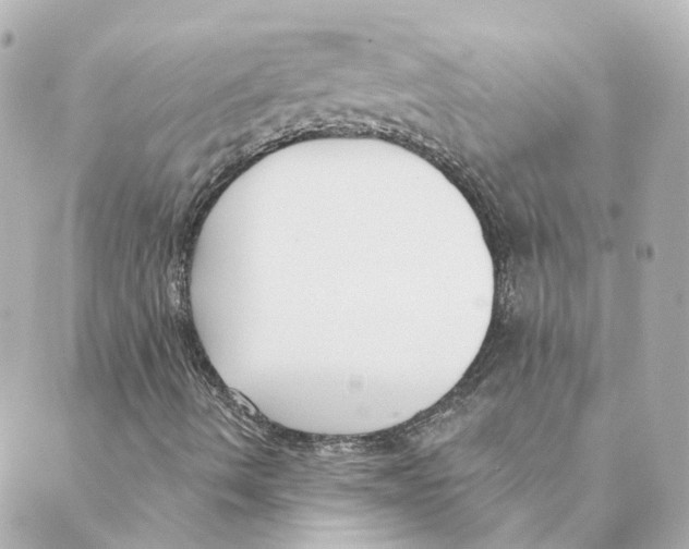 X0000088611490200706221417