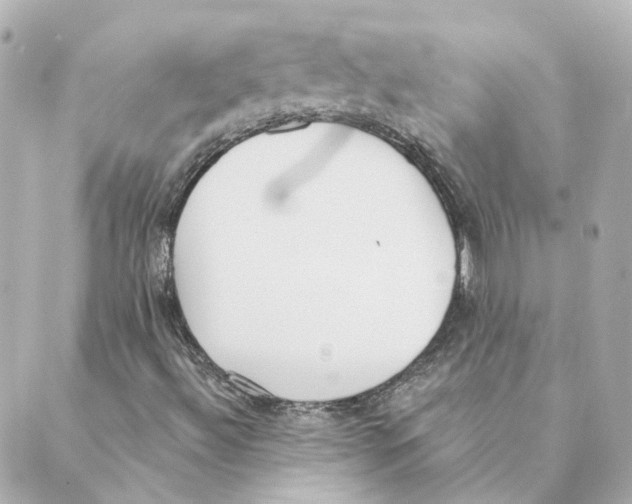 X0000088611492200706221417