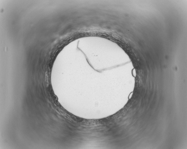 X0000088611493200706221417