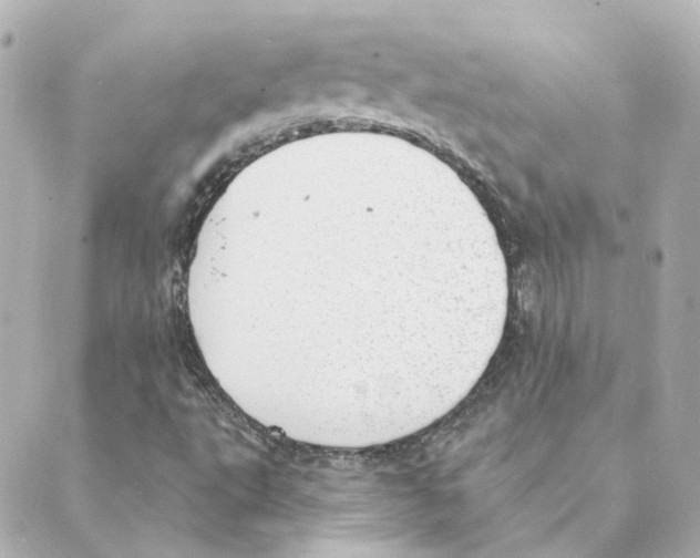 X0000088611495200706221417