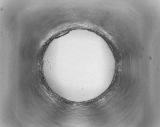 X0000088611496200706221417