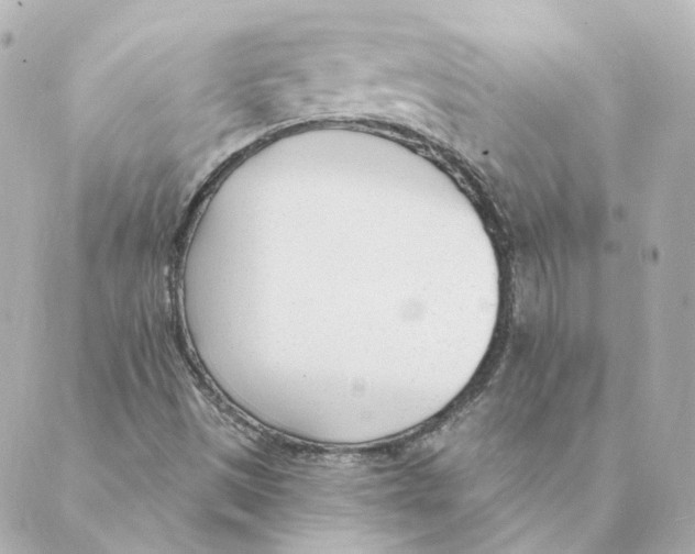 X0000088611497200706221417