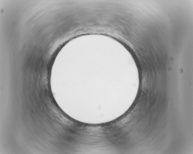 X0000088611498200706221417