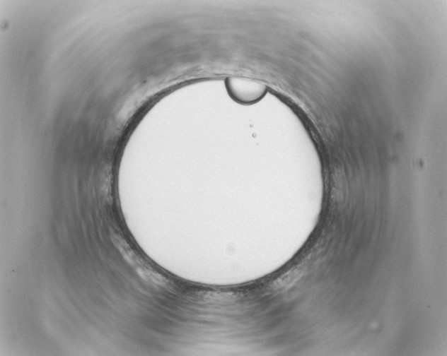 X0000088611499200706221417