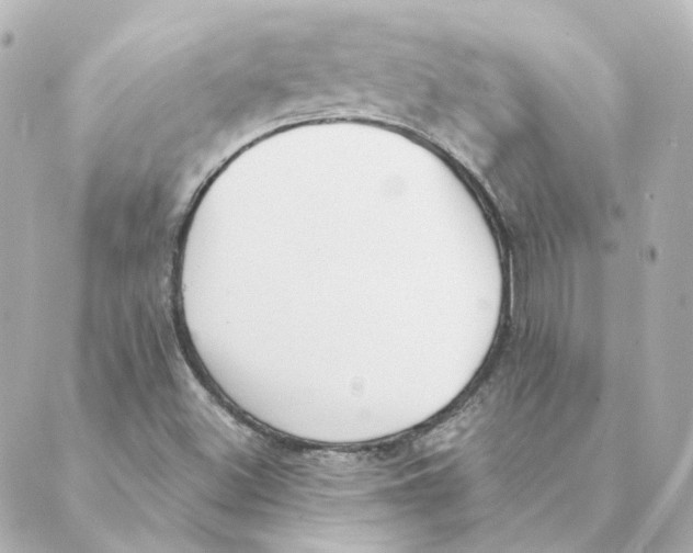 X0000088611500200706221417