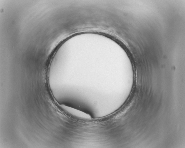 X0000088611501200706221417