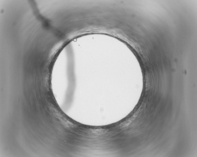 X0000088611502200706221417