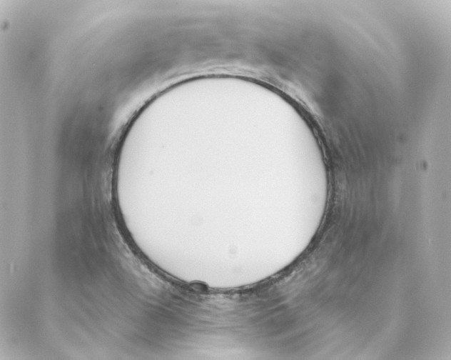 X0000088611504200706221417