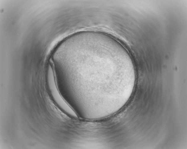 X0000088611506200706221418