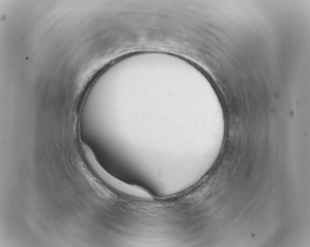 X0000088611507200706221418