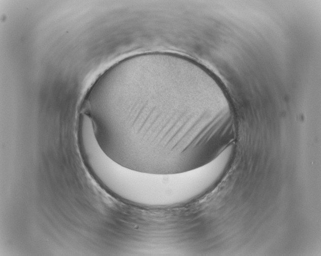 X0000088611508200706221418