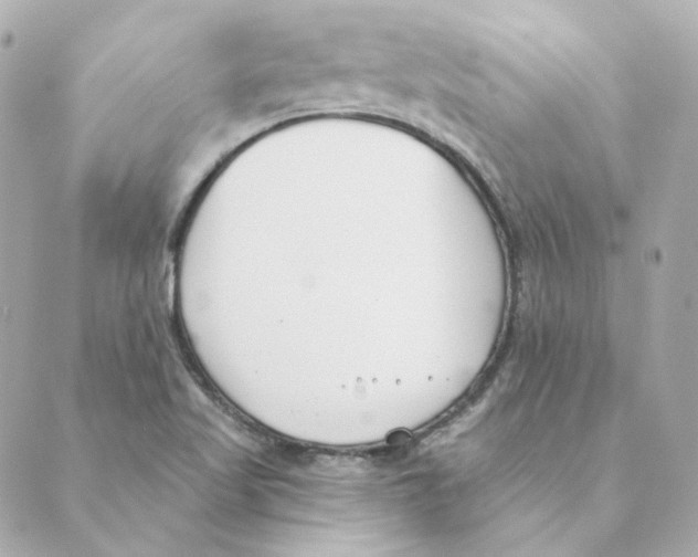 X0000088611509200706221418