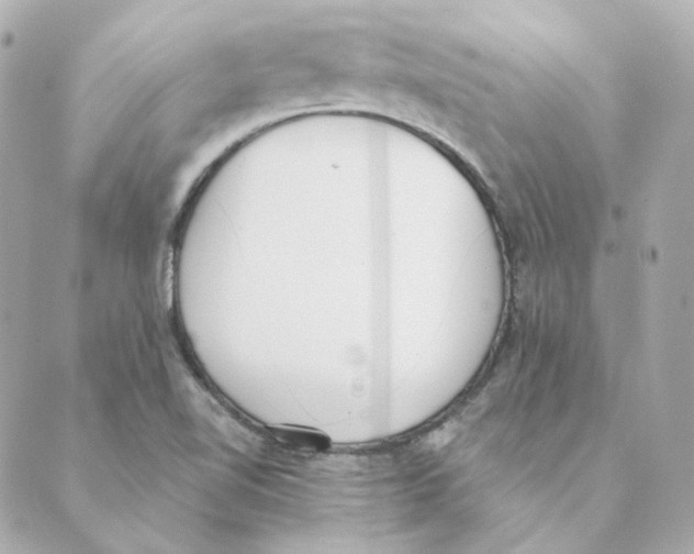 X0000088611510200706221418