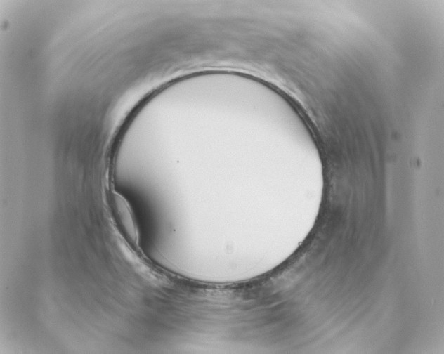 X0000088611511200706221418