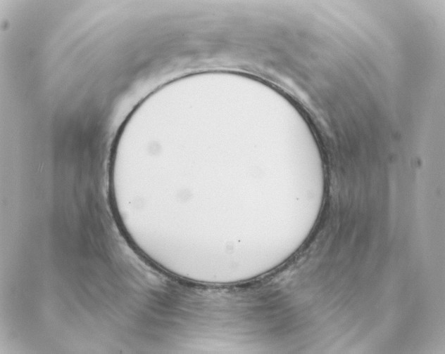 X0000088611512200706221418