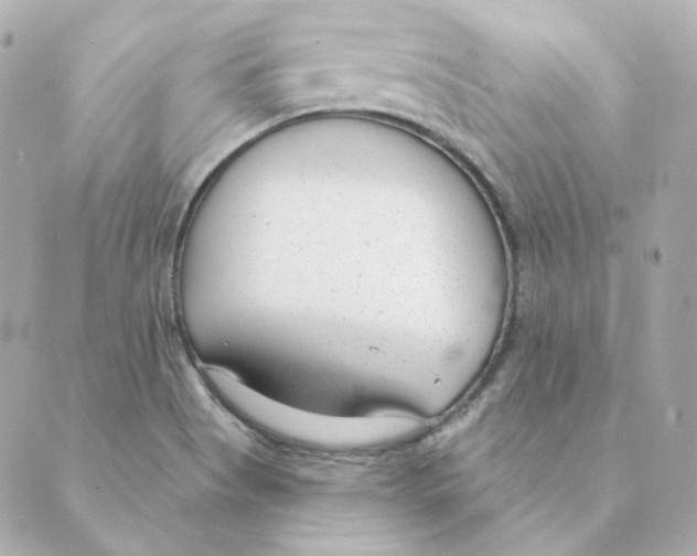 X0000088611513200706221418