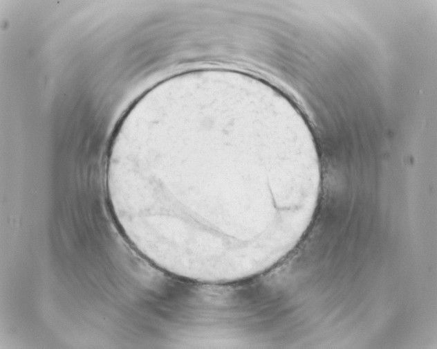 X0000088611514200706221418