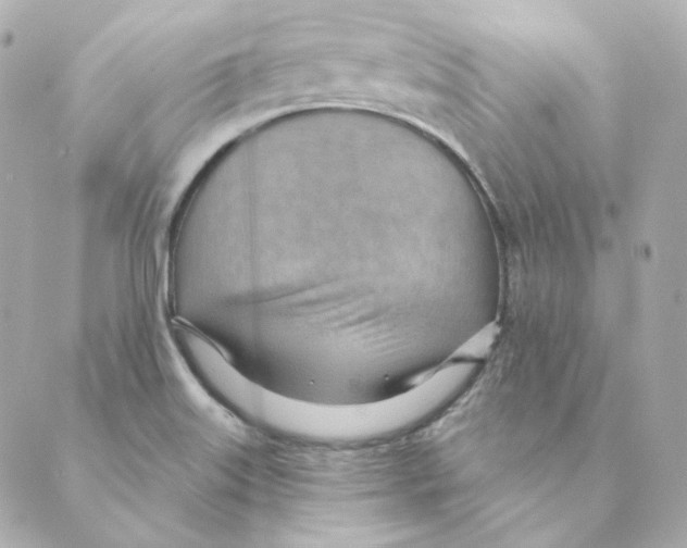 X0000088611515200706221418