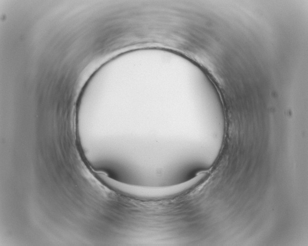 X0000088611516200706221418