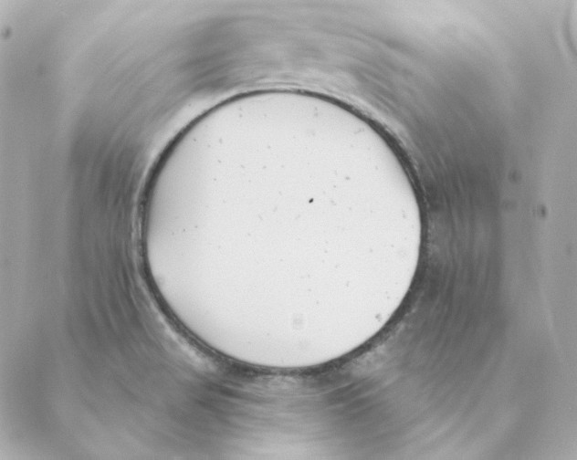 X0000088611517200706221418