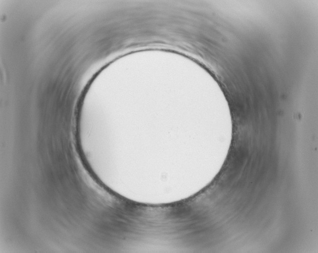 X0000088611518200706221418